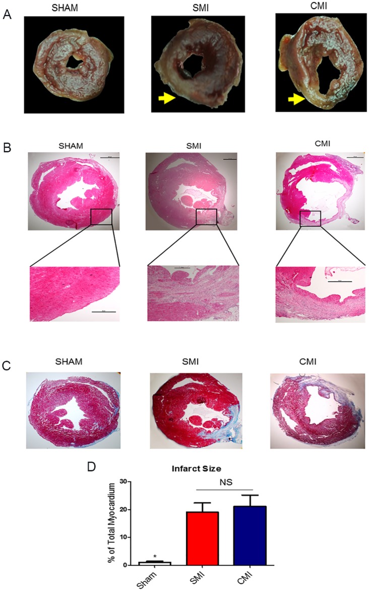 Fig 5