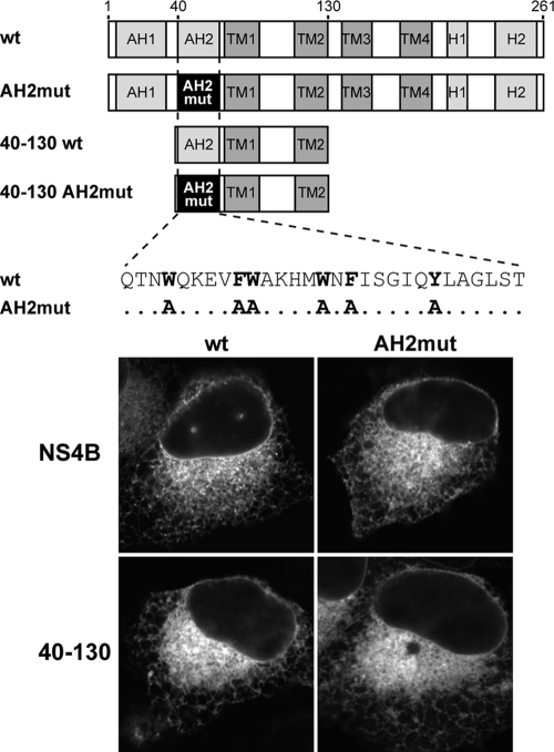 FIG. 5.