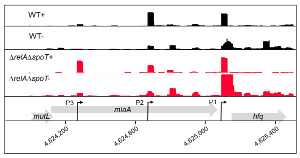 Figure 5