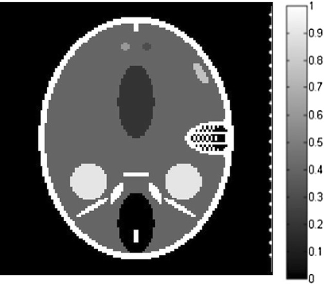 Fig. 5