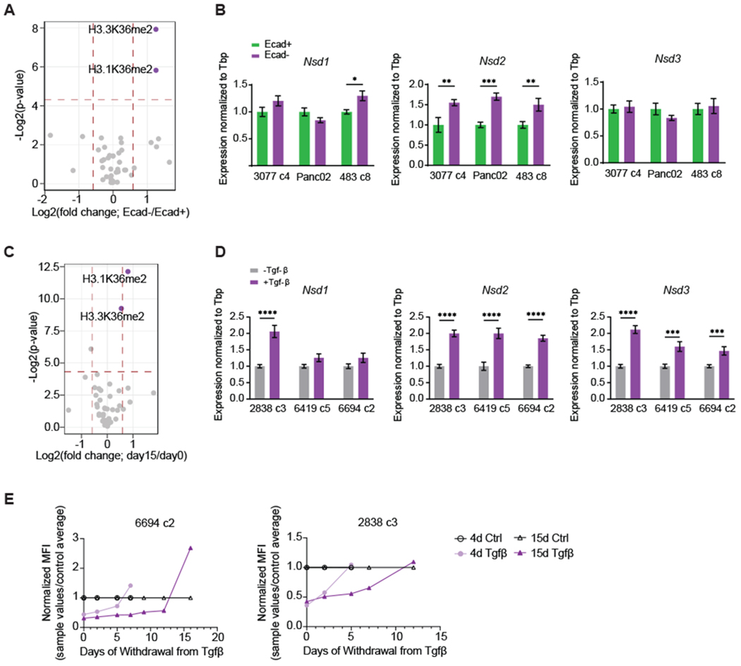 Figure 4: