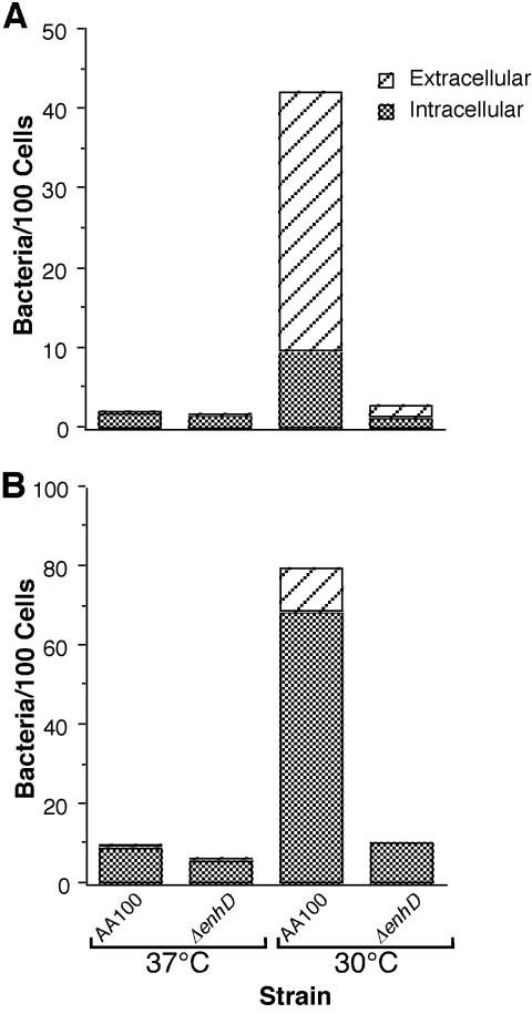 FIG. 5.