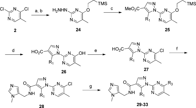 Scheme 2