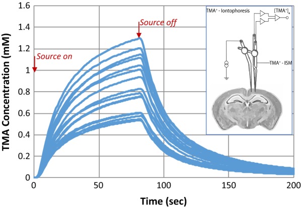 Fig. 2