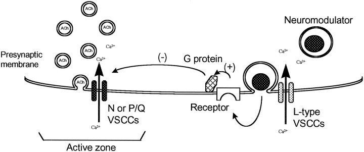 Fig. 8.