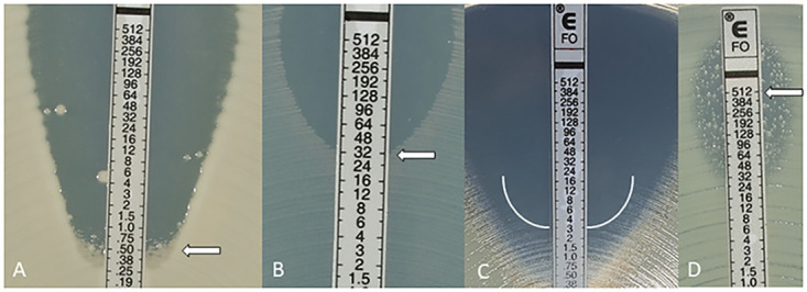 FIG 1