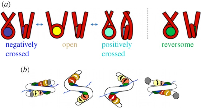 Figure 7.