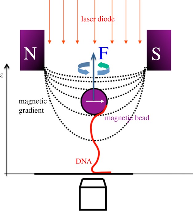 Figure 2.