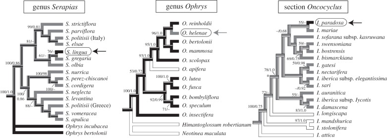 Figure 3.