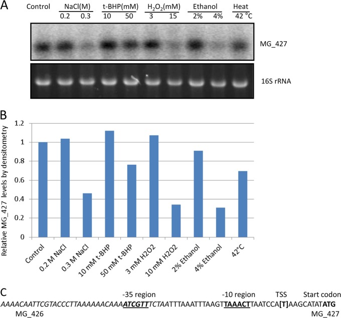 FIG 6