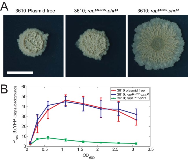 FIG 6