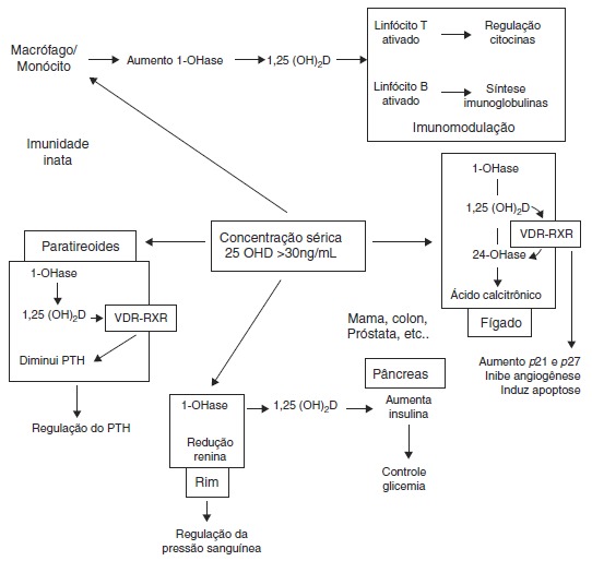 Figura 2