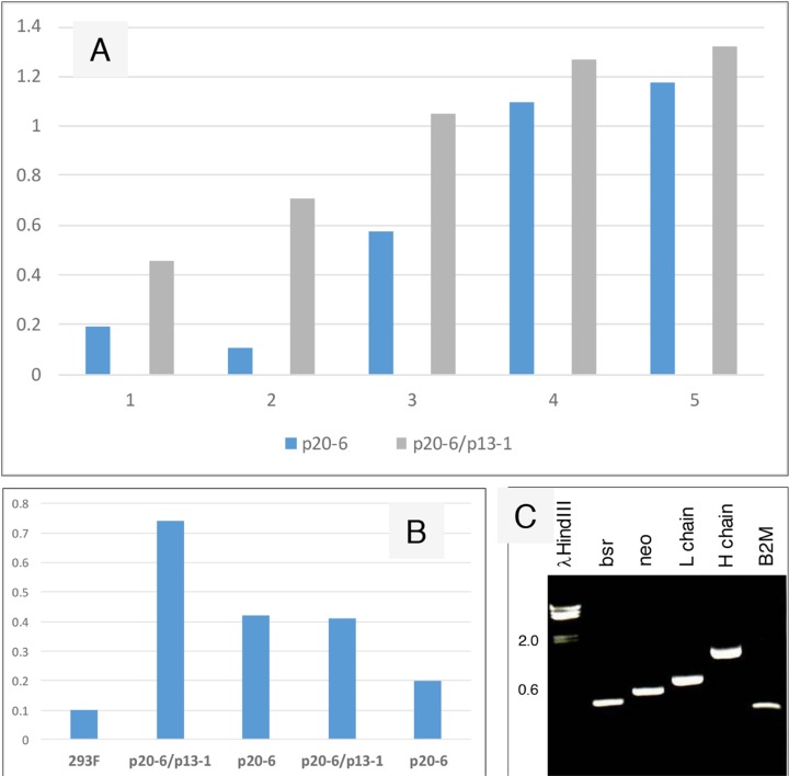 Figure 5