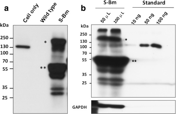 Fig. 4