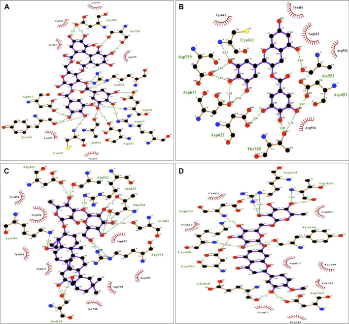 FIGURE 2