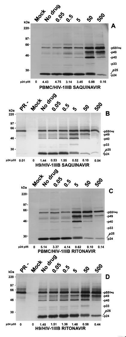 FIG. 4