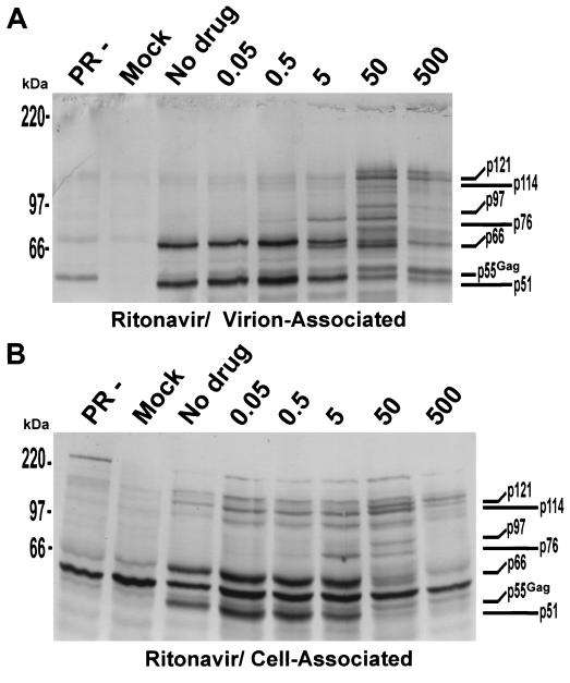 FIG. 3