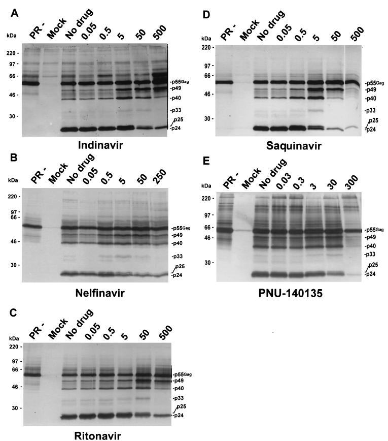 FIG. 1