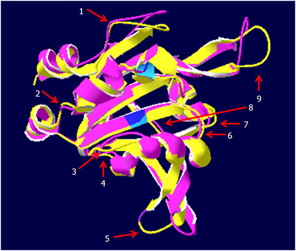 Figure 13