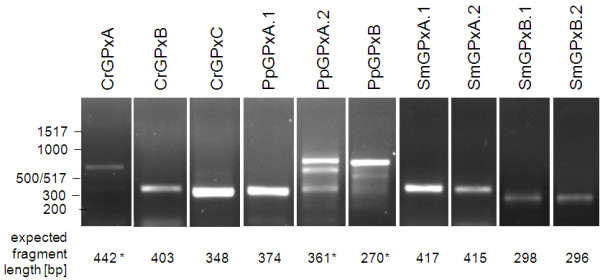 Figure 16