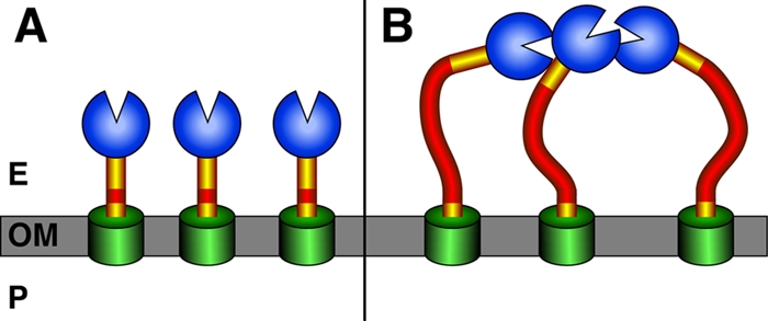 FIG. 1.