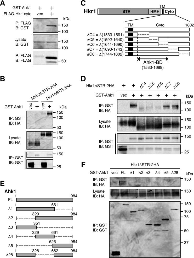 FIG 3