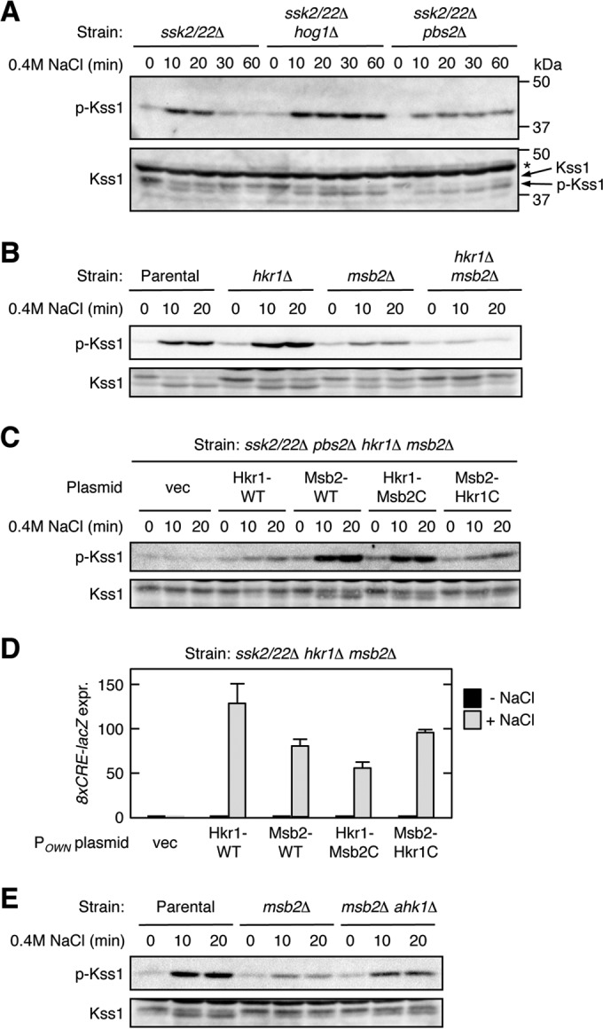 FIG 10