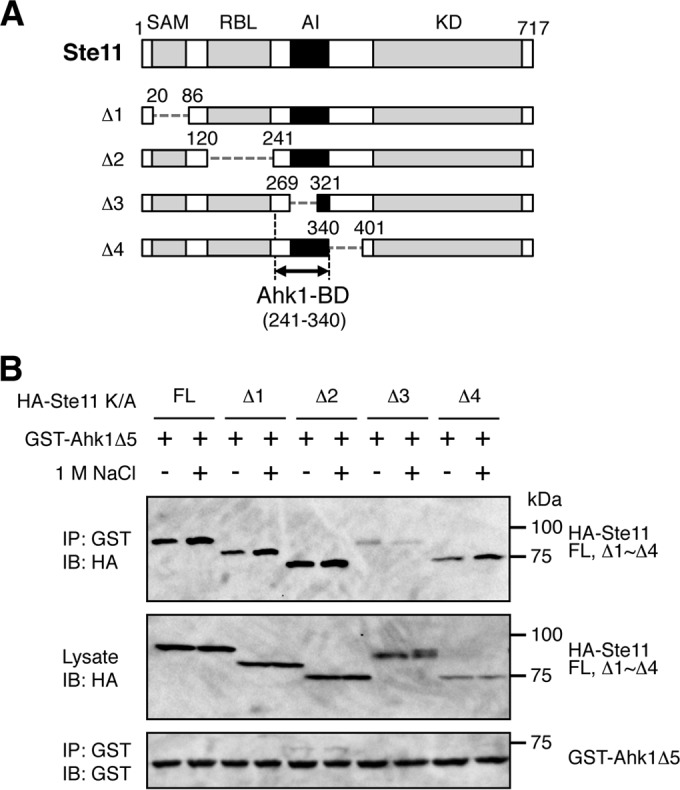 FIG 9