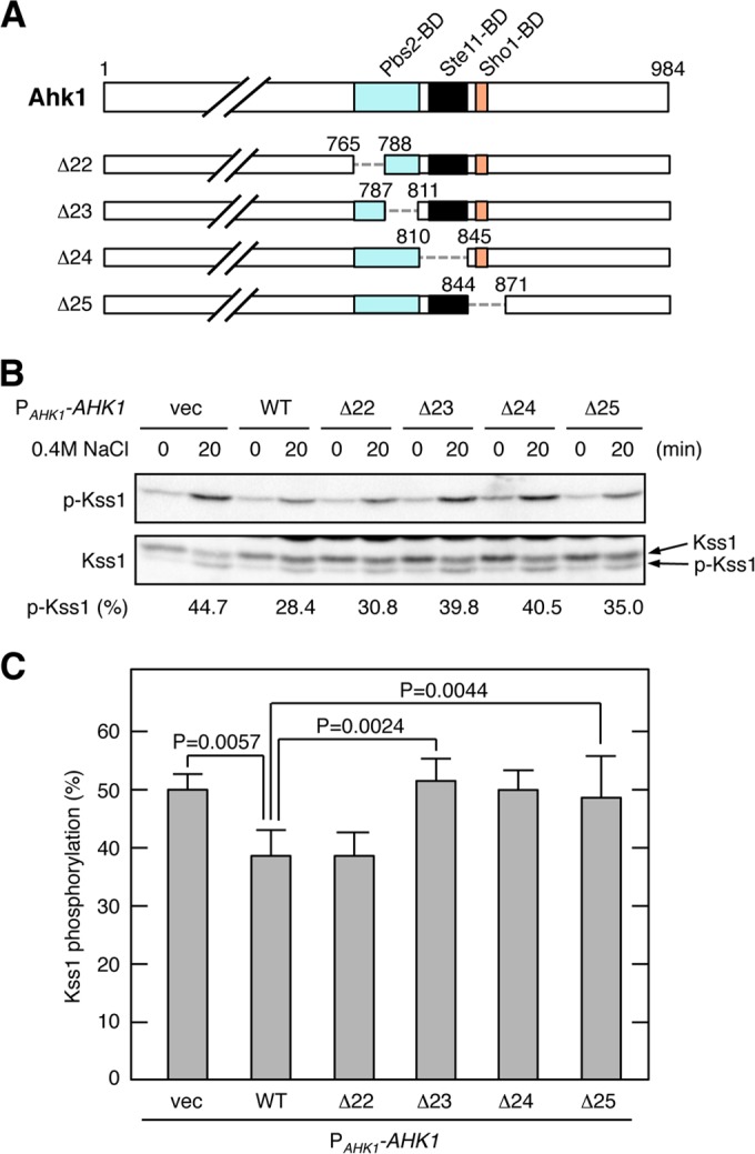 FIG 11