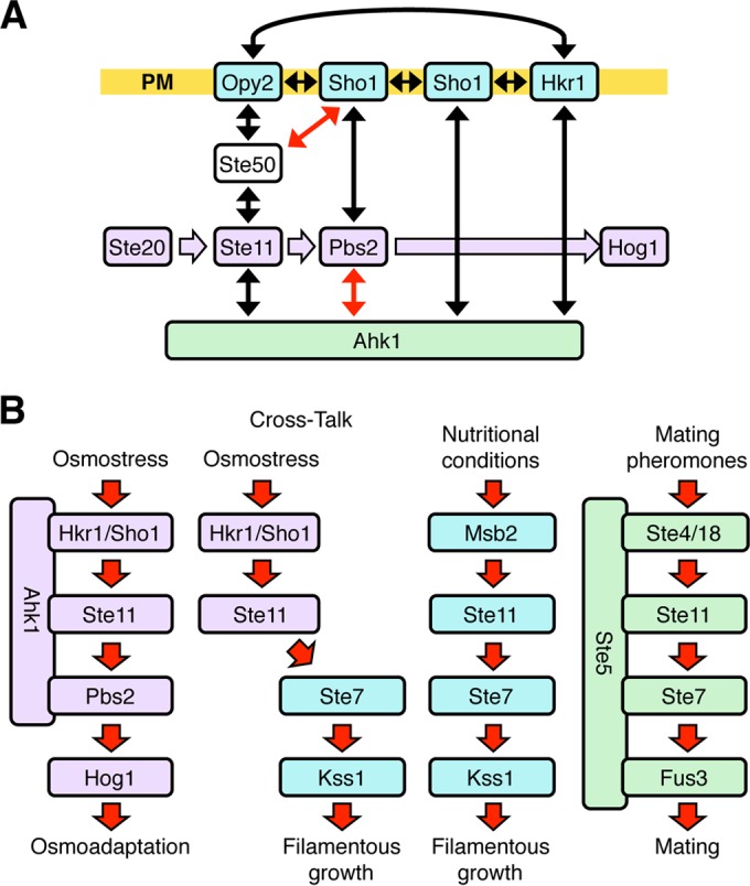 FIG 12