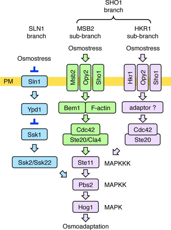 FIG 1