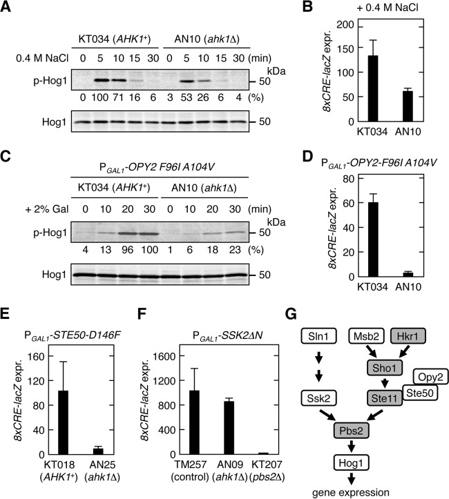 FIG 4