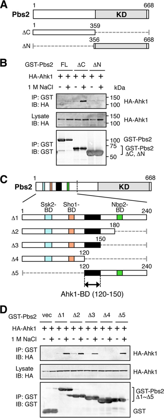 FIG 6