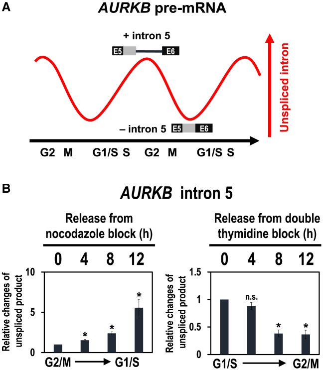 Figure 3