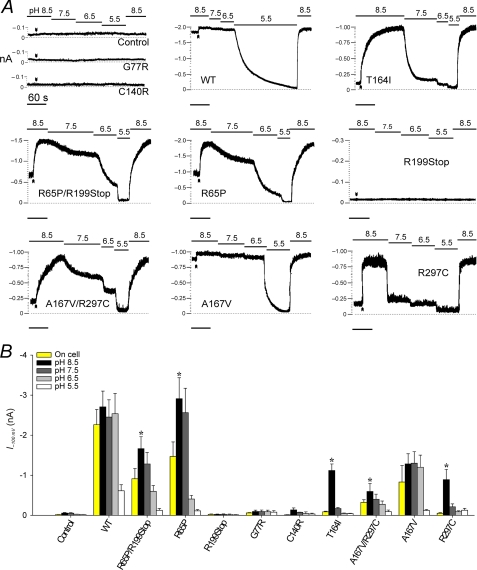 FIGURE 5.