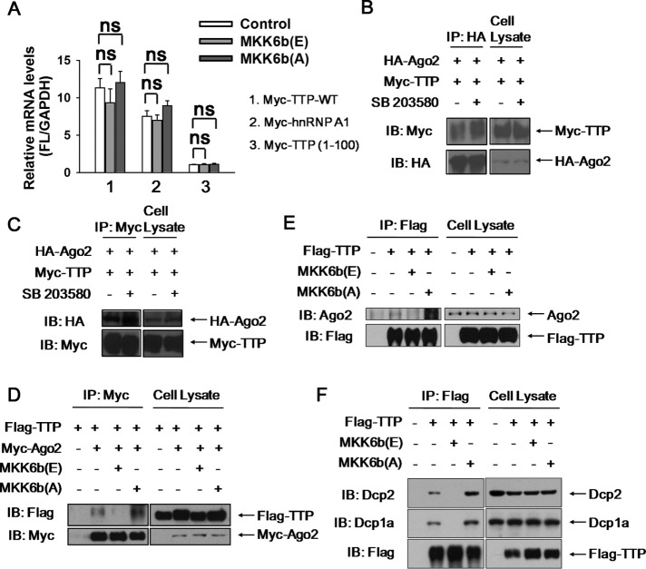 FIGURE 6: