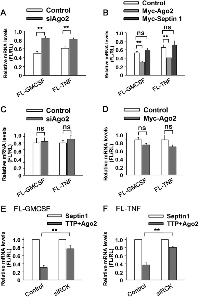 FIGURE 4: