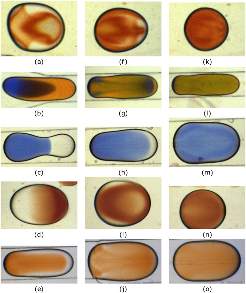 FIG. 8.