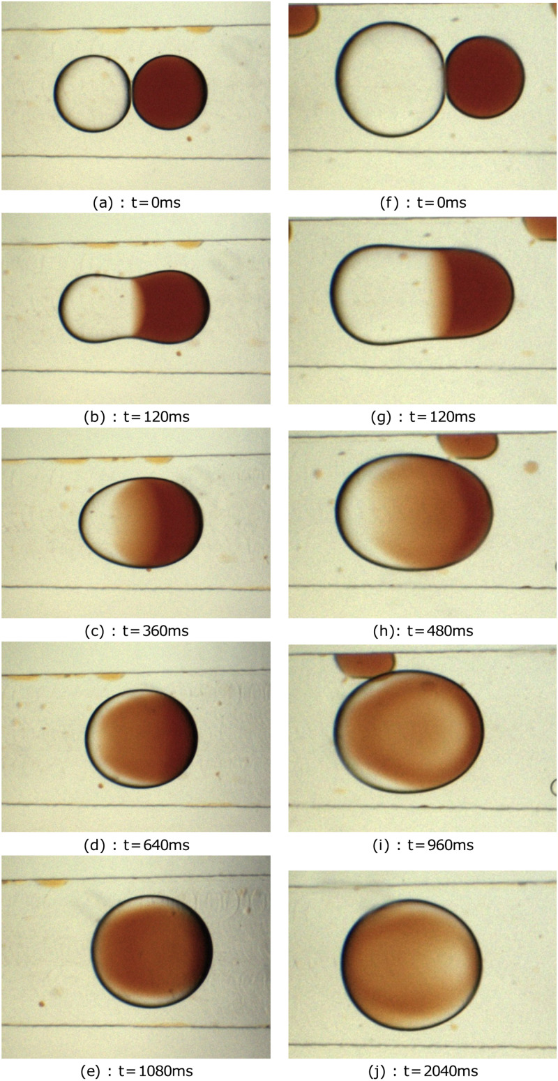 FIG. 7.