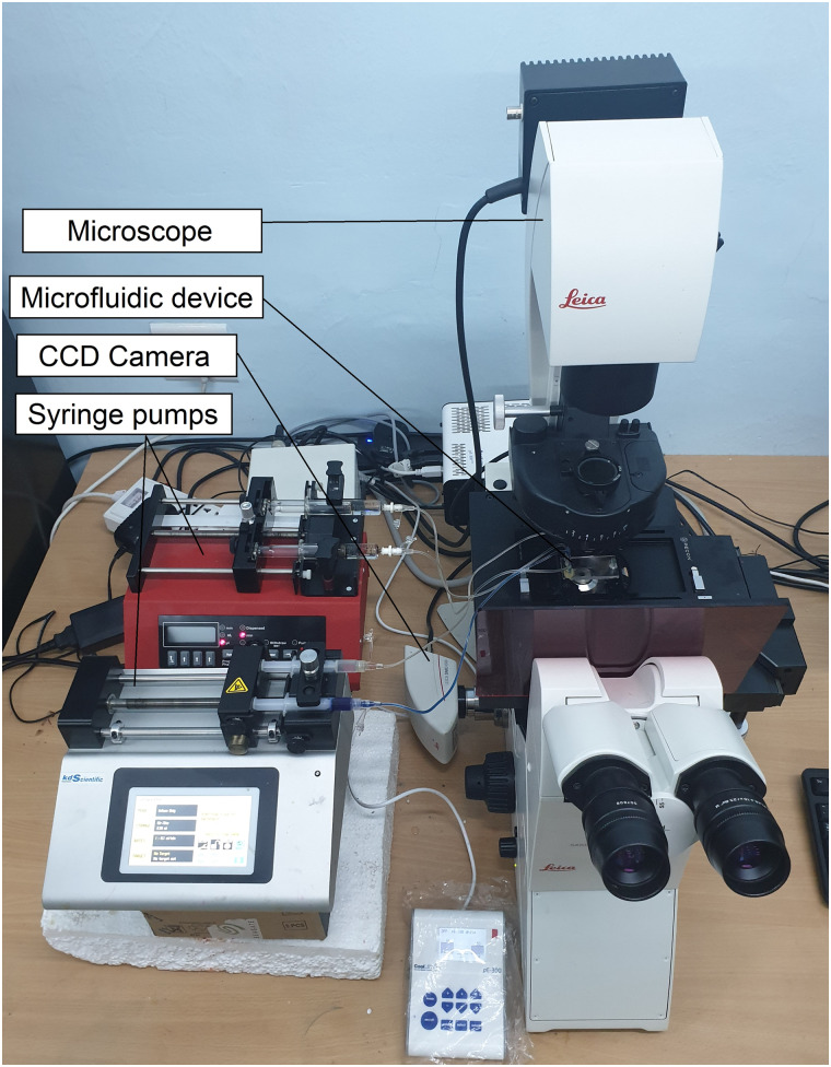 FIG. 3.