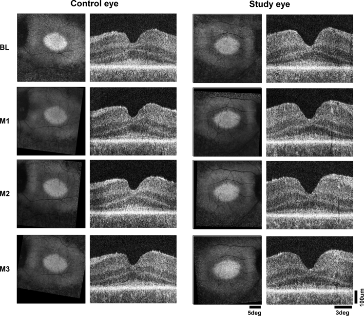 Figure 3