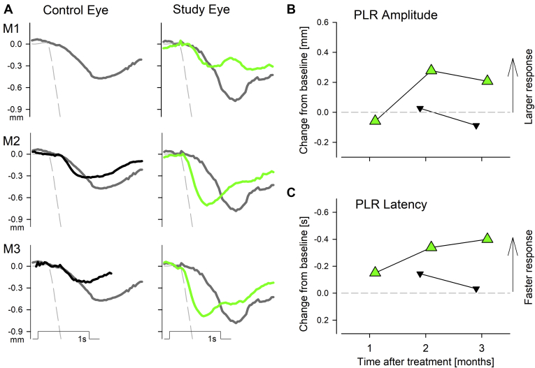 Figure 5