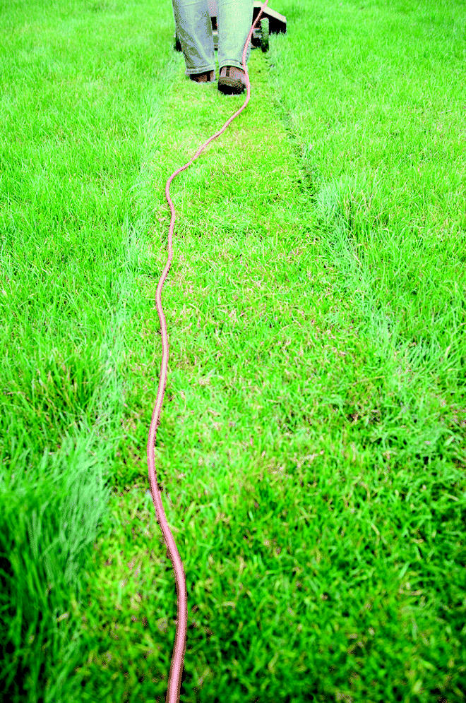 Cutting with cords. Electric lawn mowers can produce sound levels as low as 68 dBA.