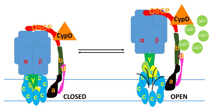 Fig. 3