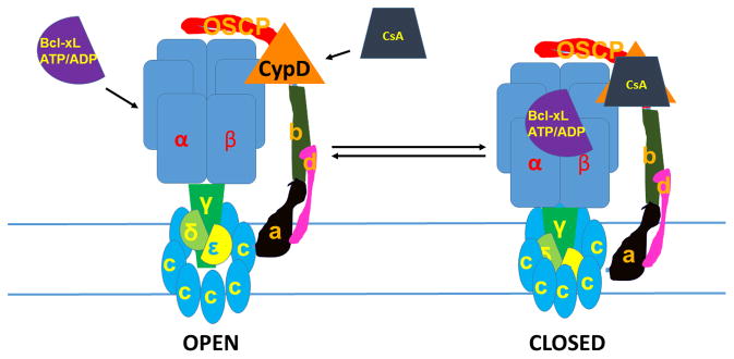 Fig. 2