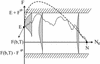 Fig 1.