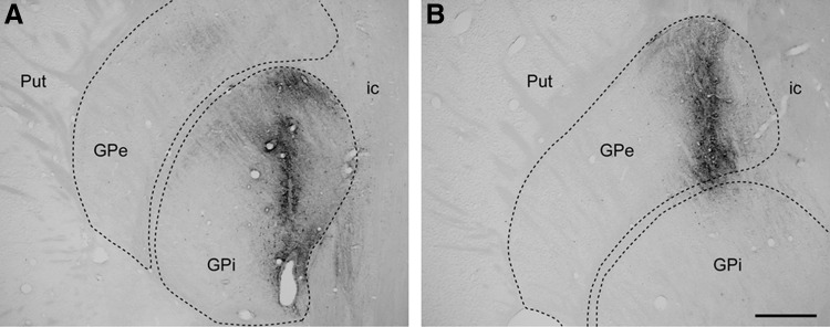 Fig. 2