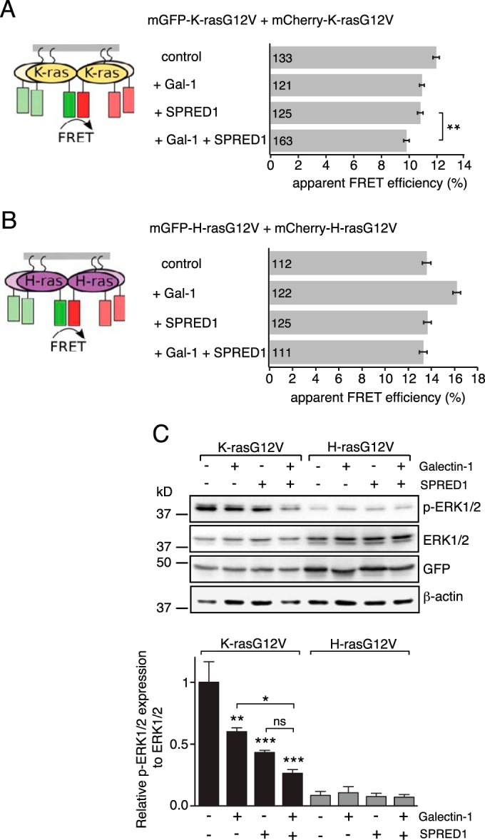 FIG 5