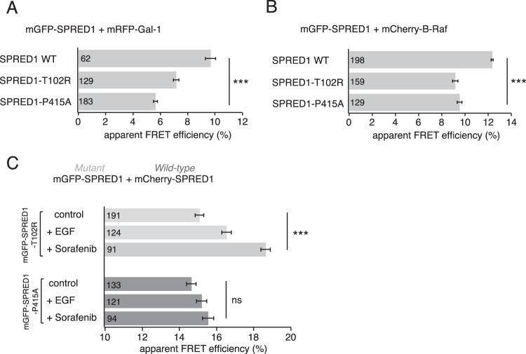 FIG 6