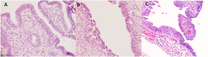 Figure 1: